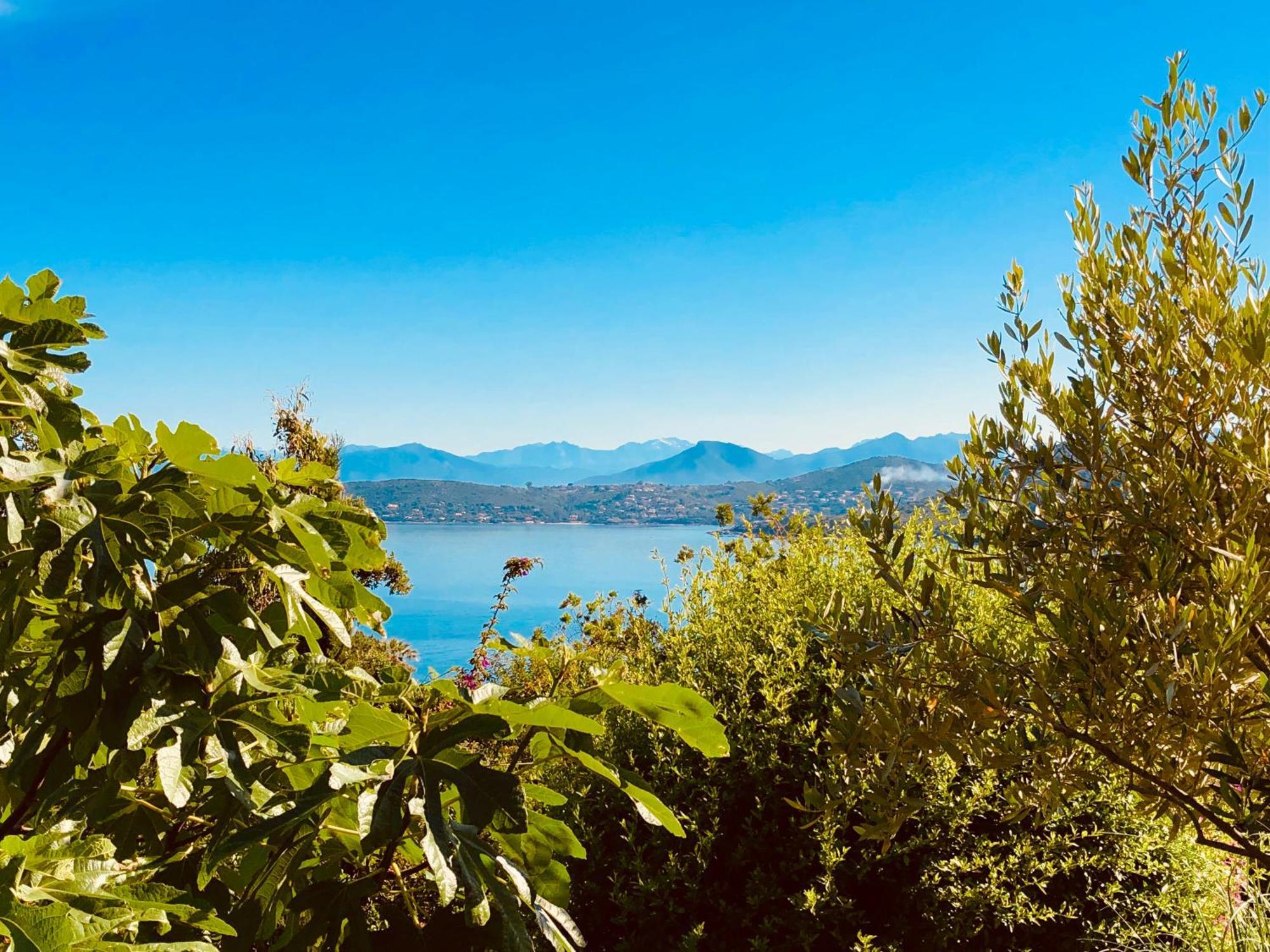casa salini Bed & Breakfast Verghia Bagian luar foto